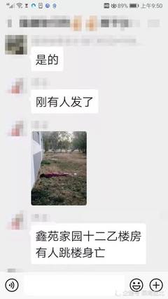 窗户安全网高层