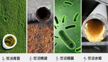 厨房细菌用什么作用