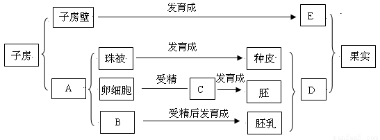 b字母开头的橱柜