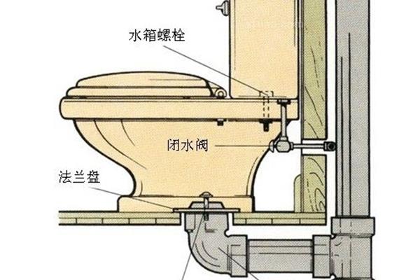 冲水马桶结构